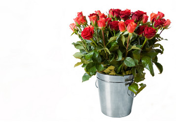 Similar image 1110682