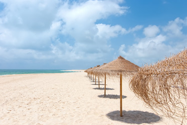 Similar image 1110722