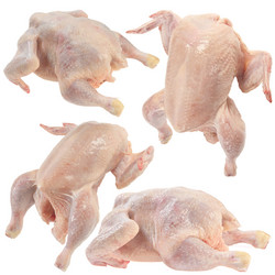 Similar image 1110733