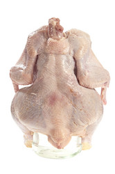 Similar image 1110740