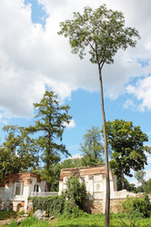 Similar image 1110748