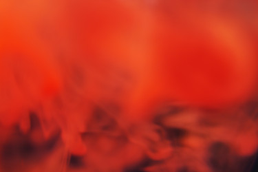 Similar image 1110778