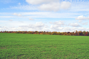 Similar image 1110841