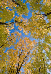 Similar image 1110864