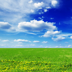 Similar image 1110895