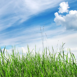 Similar image 1110901