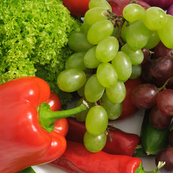 Similar image 1110917