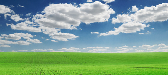 Similar image 1110918