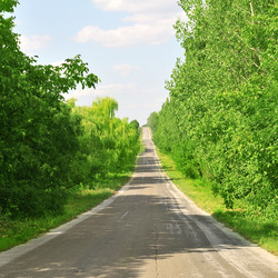 Similar image 1110931