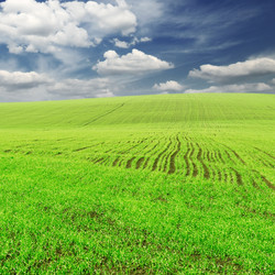 Similar image 1110949