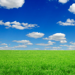 Similar image 1110959