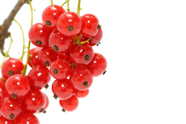 Similar image 1110962