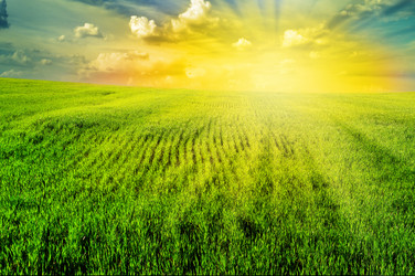 Similar image 1110963