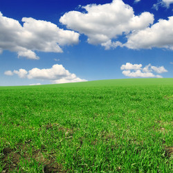 Similar image 1110965