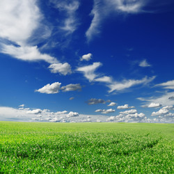 Similar image 1110972