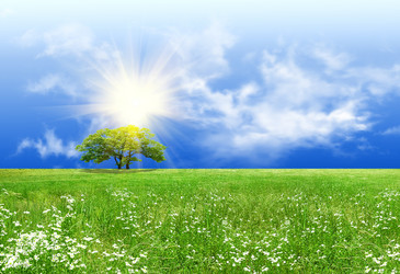 Similar image 1110977