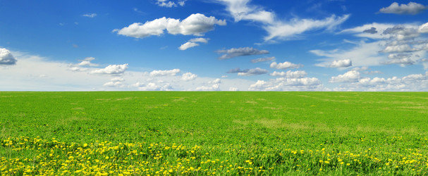 Similar image 1110990