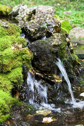 Similar image 1111143