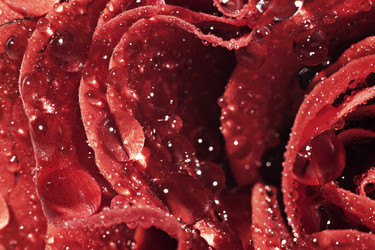 Similar image 1111177