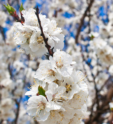 Similar image 1111181