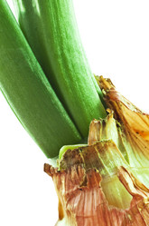 Similar image 1111183