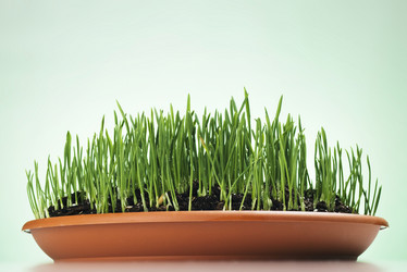 Similar image 1111185