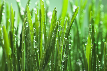 Similar image 1111186