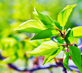 Similar image 1111187