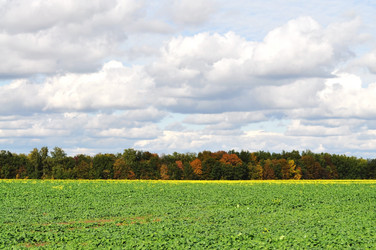 Similar image 1111194