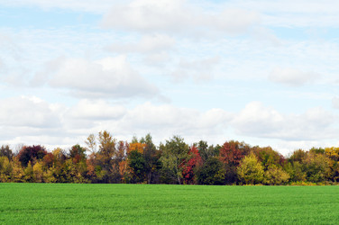 Similar image 1111195