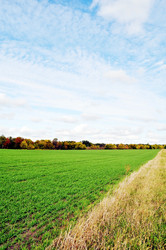 Similar image 1111196