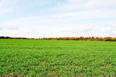 Similar image 1111197