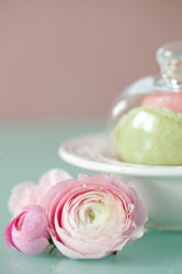 Similar image 1111206