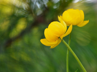 Similar image 1111228