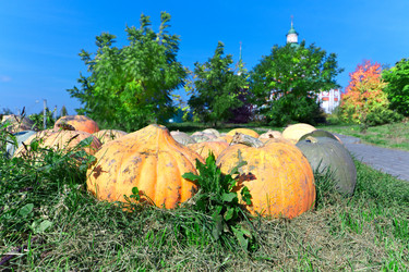 Similar image 1111247