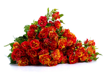 Similar image 1111260