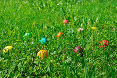 Similar image 1111268