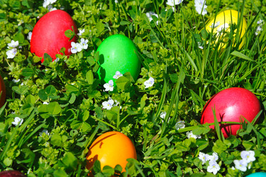 Similar image 1111282