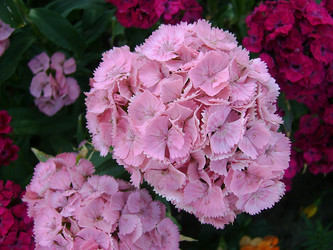 Similar image 1111537