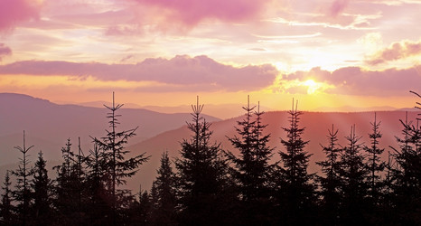 Similar image 1111576