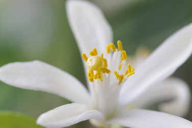 Similar image 1111647