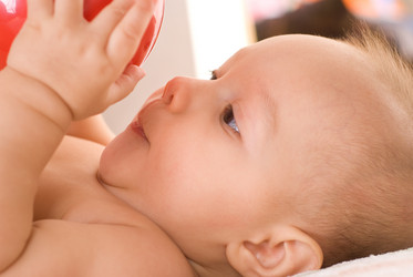 Similar image 1111682