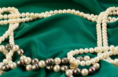 Similar image 1111863