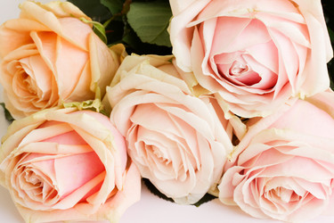 Similar image 1111918