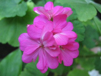 Similar image 1111936