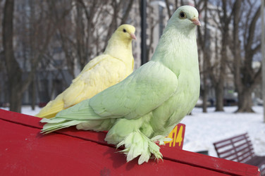 Similar image 1112019