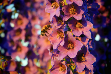 Similar image 1112129