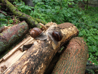 Similar image 1112151