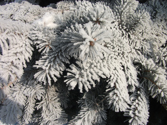 Similar image 1112153