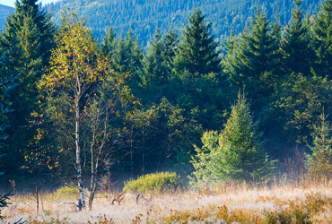 Similar image 1112280